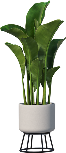 Home Decorative Plant Pots